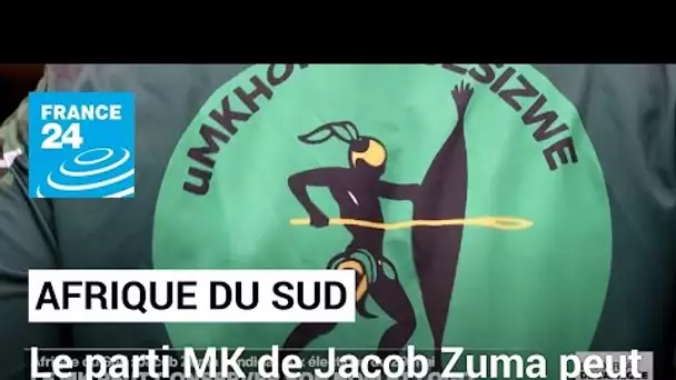 Le parti MK de Jacob Zuma peut conserver son nom et son logo • FRANCE 24