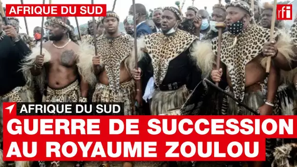 Afrique du Sud : retour sur la guerre de succession au royaume Zoulou