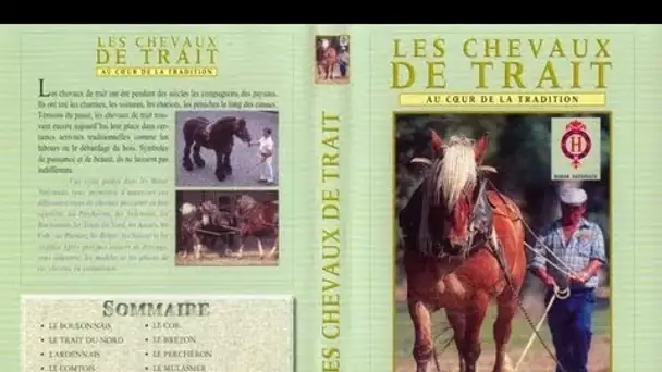 L'utilisation des chevaux de traits et traditions - Documentaire animalier