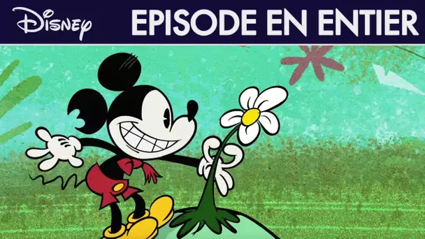 Mickey Mouse : Une fleur pour Minnie - Épisode intégral - Exclusivité Disney I Disney