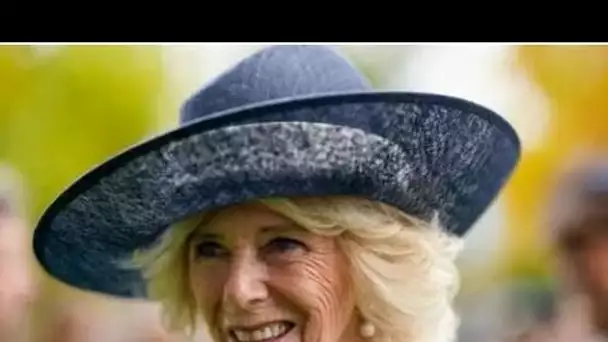 Vous pouvez les gâter!' La reine consort Camilla adore les petits-enfants rarement vus en public