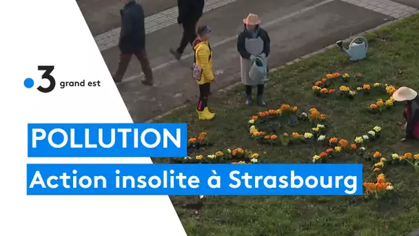 Pollution : des riverains lancent un SOS avec des fleurs