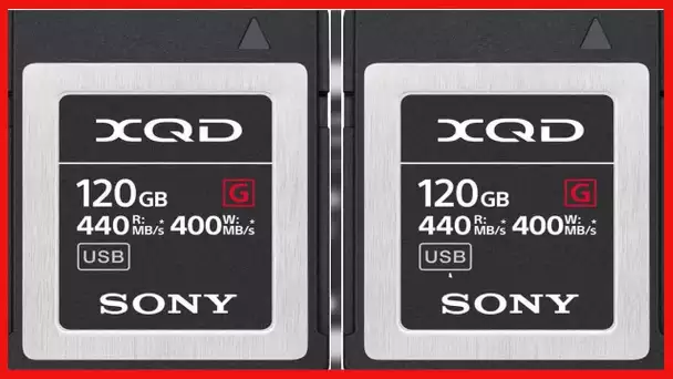 Sony Professional XQD G series 120GB Memory Card (QD-G120F/J)