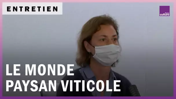 Face aux crises : le monde paysan viticole aujourd’hui