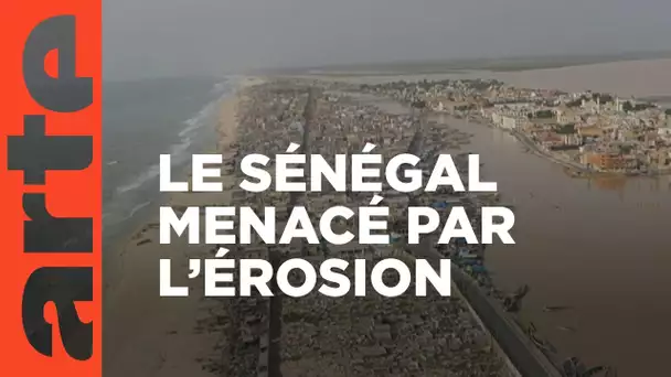 Sénégal : des murs contre l’océan | ARTE Reportage