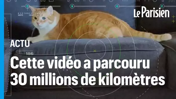 Une vidéo de chat venue de l'espace lointain