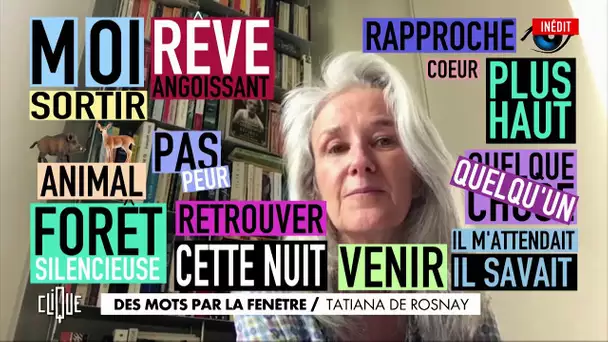 Des mots par la fenêtre : Tatiana De Rosnay - Clique, 20h25 sur C+