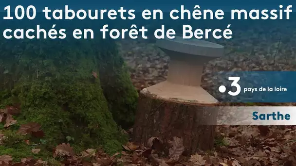 Sarthe : 100 tabourets en chêne massif cachés en forêt de Bercé