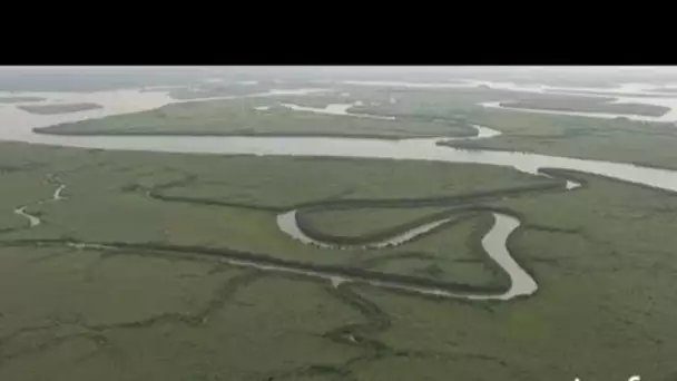 Nigéria : mangrove et village du delta du Niger
