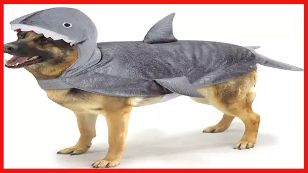 Casual Canine Casual Canine Shark Costume for Dogs, 24" XL