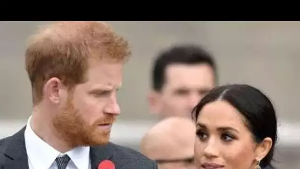 Meghan et Harry ont émis un avertissement de trois mots sur la relation par l'aide