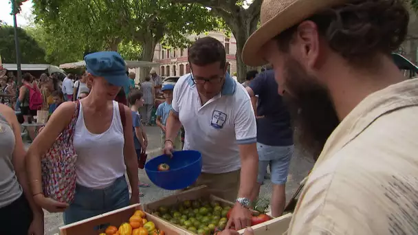 Marchons local ! A Montlaur dans les Corbières Audoises les producteurs veulent vendre au pays.