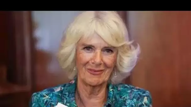 Camilla s'engage à suivre l'exemple de Philip dans son nouveau rôle royal - et livre un bâillon évei