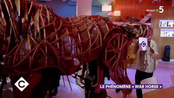 Le phénomène « War Horse » ! - C à Vous - 08/10/2019