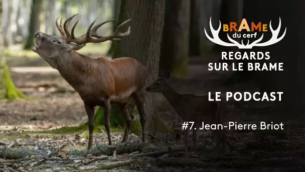 Le brame du cerf #7 avec Jean-Pieere Briot