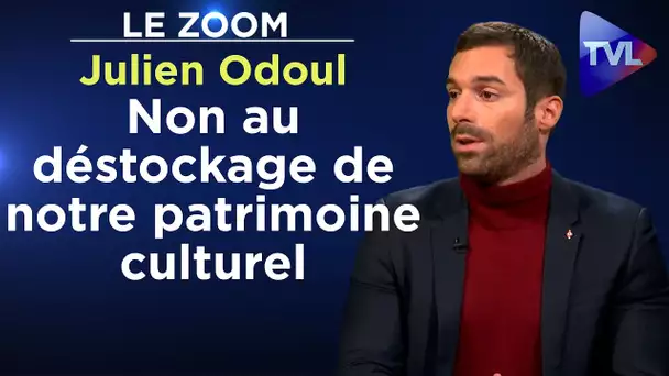 Non au déstockage de notre patrimoine culturel - Le Zoom - Julien Odoul - TVL