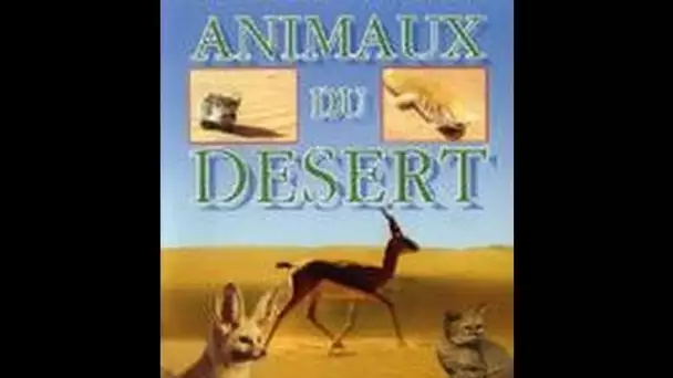 Les petites creatures du desert - Documentaire animalier