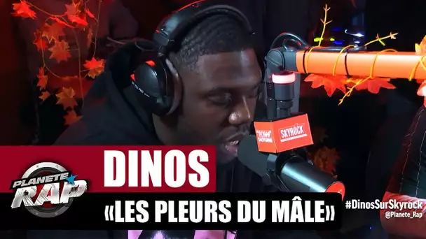 Dinos "Les pleurs du mâle" #PlanèteRap