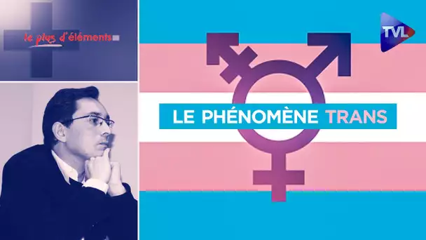 Le phénomène trans (transgenre) - Le plus d'Eléménts - TVL