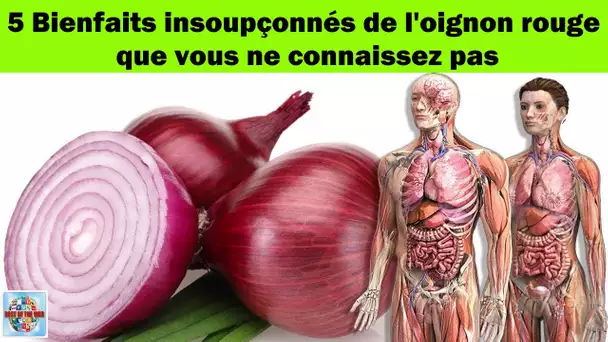 5 Bienfaits insoupçonnés de l'oignon rouge que vous ne connaissez pas