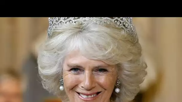 Camilla « recevra la couronne inestimable de la reine mère lorsque Charles deviendra roi »