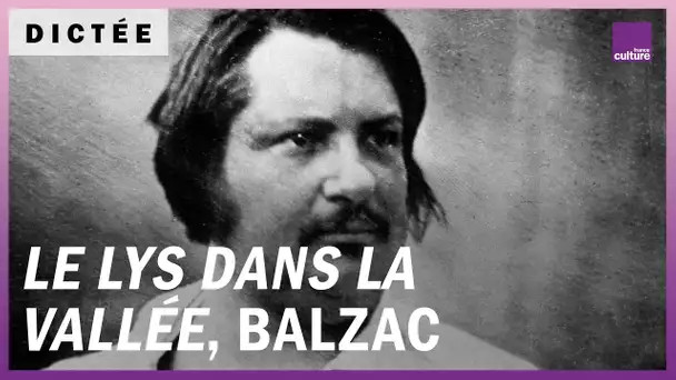 La Dictée géante : "Le Lys dans la vallée", d' Honoré de Balzac