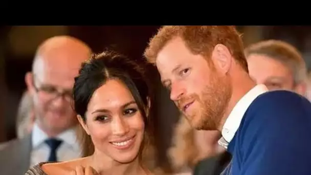 Meghan et Harry ont qualifié « deux mineurs » aux États-Unis pour une série « grinçant des dents »