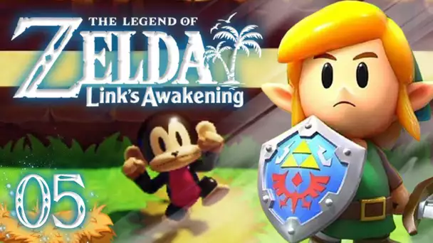 Zelda Link's Awakening HD : Direction le château ! #05