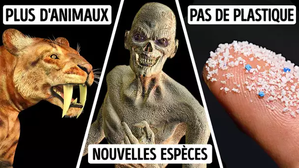 Si les Humains n’Étaient Jamais Apparus, Quelle Créature Gouvernerait la Terre ?