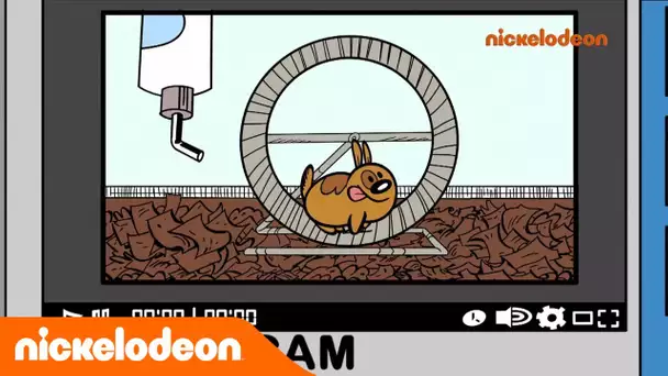 Bienvenue Chez les Loud | Le concours de vidéo | Nickelodeon France