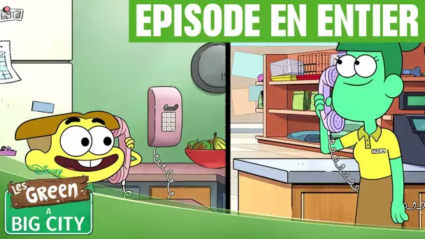 Les Green à Big City - Episode 8 : Cricket appelle l'animalerie