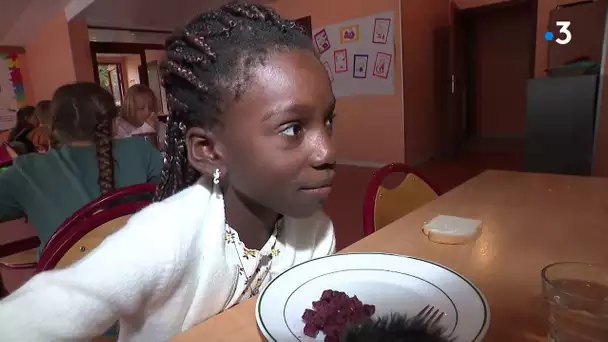 Coudekerque-Branche : comment s'organise la cantine pour les élèves de maternelle et de primaire