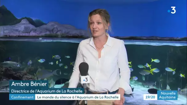 L'Aquarium de la Rochelle est fermé au public mais la vie des poissons continue