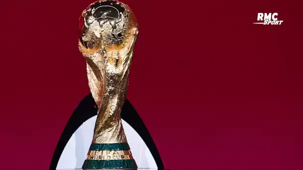 Coupe du monde : Pour Gautreau, "la rareté" fait le prestige