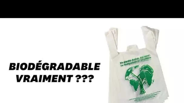 Les sacs plastiques biodégradables ne tiendraient pas leur promesse selon cette étude