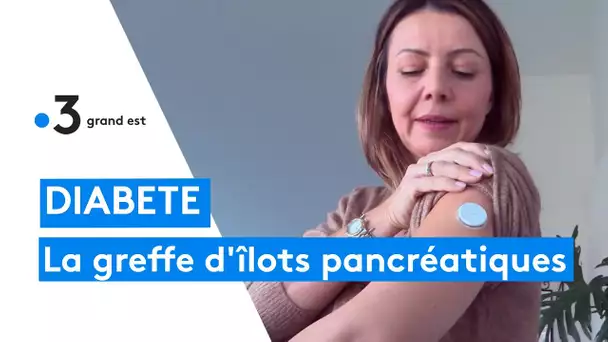 Santé : la greffe d'îlots pancréatiques au secours des diabétiques