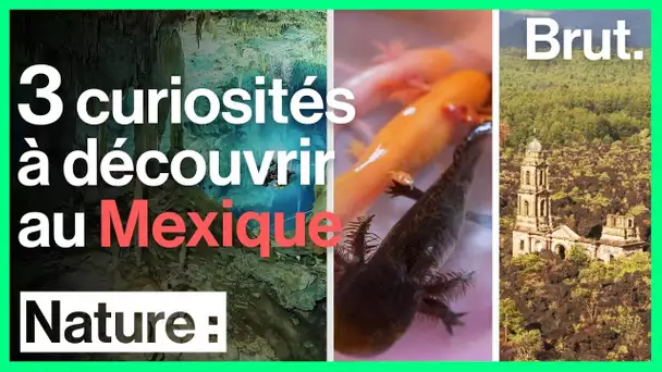 3 curiosités à découvrir au Mexique