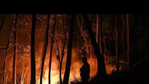 Les pompiers peinent à maîtriser plusieurs incendies au Portugal