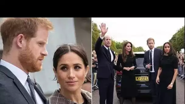 « Lequel est-ce ? » : Meghan Markle et le prince Harry critiqués pour leur « réaction » à propos de