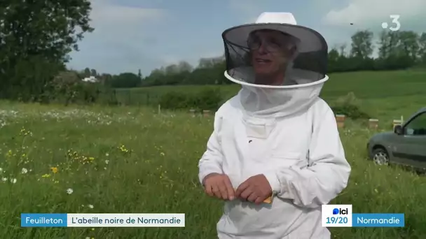 L'abeille noire de Normandie Épisode 3/4  : le conservatoire de Livarot