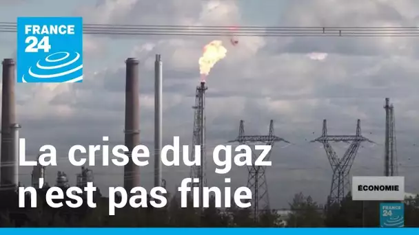 L'AIE alerte l'Union européenne : la crise du gaz "n'est pas finie" • FRANCE 24