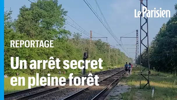 Connaissez-vous l’arrêt fantôme (et secret) en plein cœur de la forêt de Fontainebleau ?