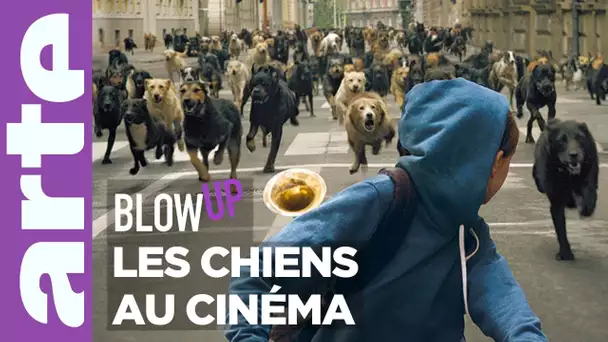 Les Chiens au cinéma - Blow Up - ARTE