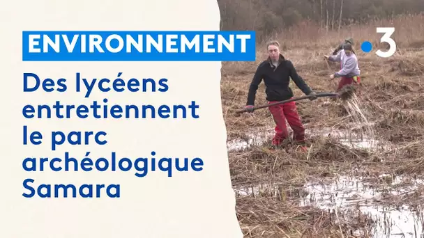 Le parc de Samara associe des élèves à la gestion de son milieu naturel