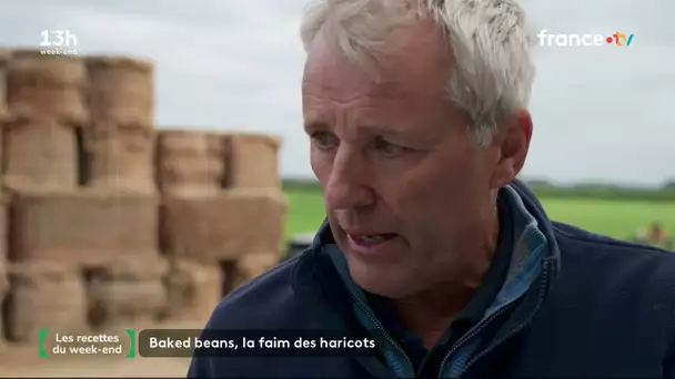 Baked beans : la faim des haricots