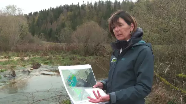 Les milieux humides du massif jurassien : le seul site Ramsar de Bourgogne Franche-Comté