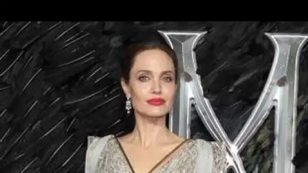Angelina Jolie vend un tableau rare de Winston Churchill... Le confinement n#039;a pas rendu David