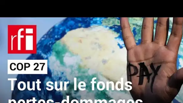 COP 27 : le fond "pertes et dommages", c'est quoi ? • RFI