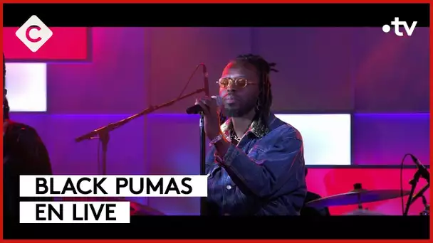 Black Pumas, les nouvelles stars de la soul - C à Vous - 14/03/2024