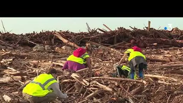 Tempête Alex dans les Alpes-Maritimes : le littoral recouvert de bois et de déchets